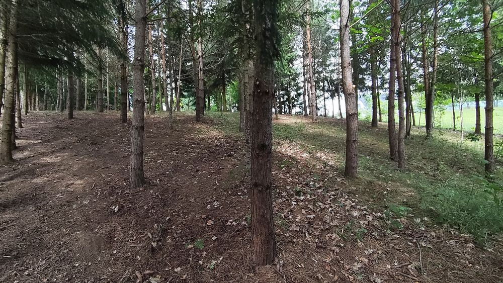 Działka nad kanałem Iławskim z warunkami zabudowy - Widok 3