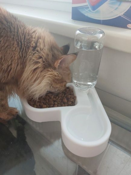 Кормушка поилка автоматическая для кота собаки миска лоток кошки