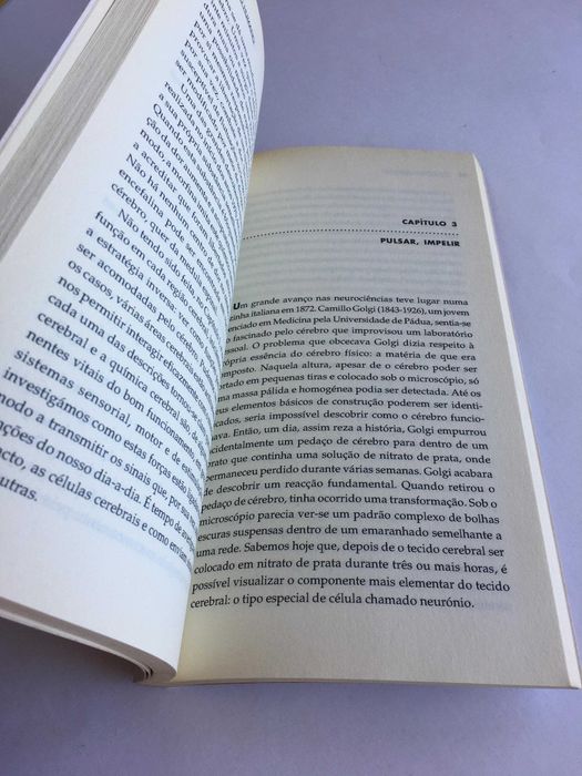O Cérebo Humano - Susan A. Greenfield