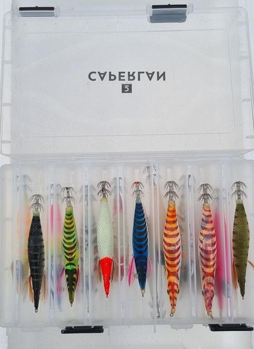 Palhaços pesca choco