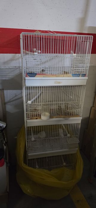 Gaiolas para pássaros