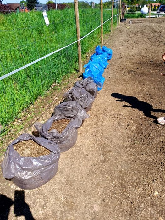 Obornik, koński nawóz