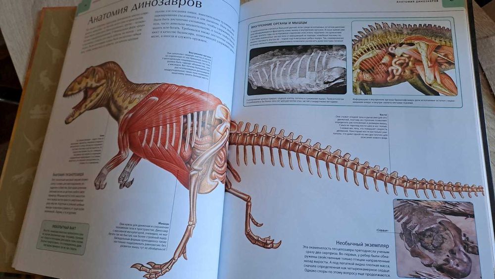 Динозавры. Иллюстрированный атлас.