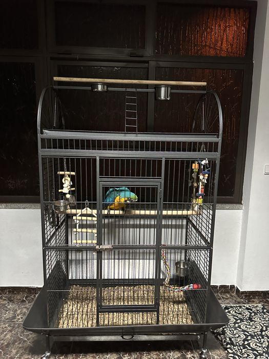 Gaiola papagaio 1.80 de altura vendo ou troco por coelheira