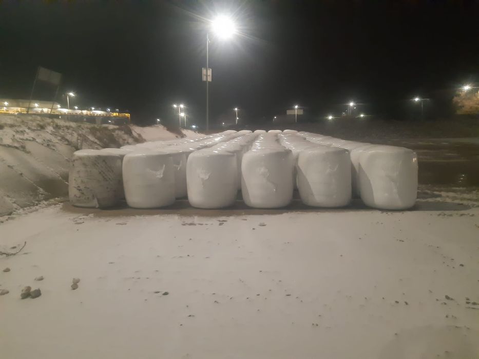 Wyslodki buraczane w balotach