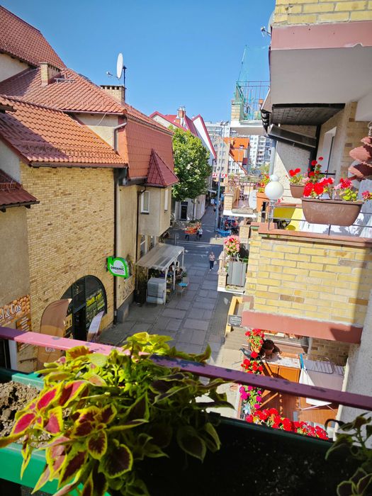 Zdjęcie 8
