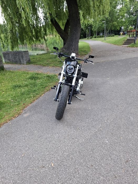 Harley davidson breakout