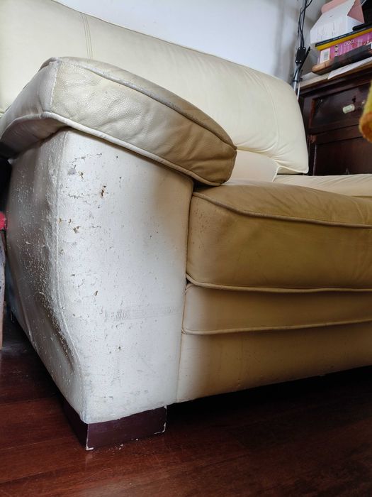 Sofá usado polipele. Boa estrutura, dá para forrar/tapar
Marcas gato
