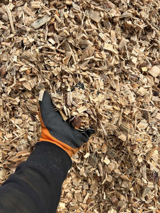 zrębka z drewna iglastego podloze do sciolkowania