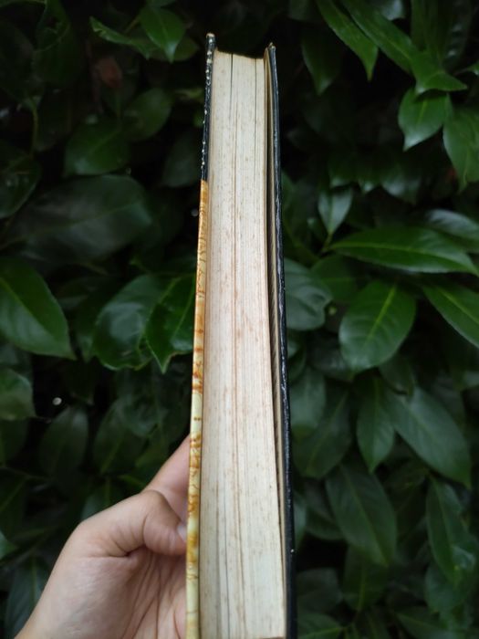 Requiem pela Europa (John Simpson)