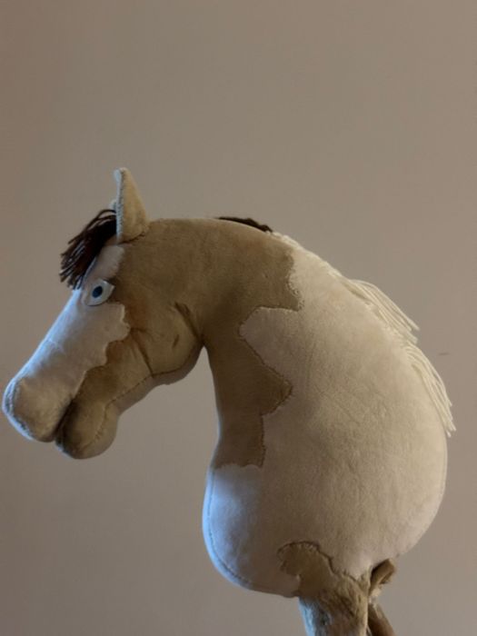 Hobby horse z kijem