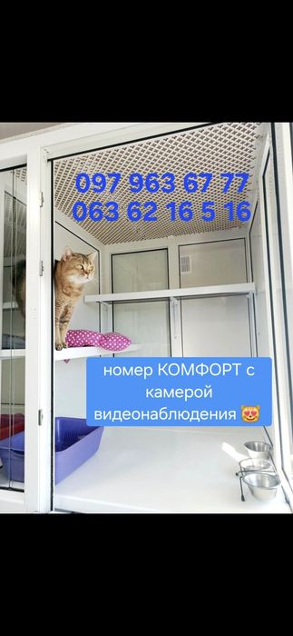 ГОСТИНИЦА,ПЕРЕДЕРЖКА  ,Видеокамера 24/7 в номере