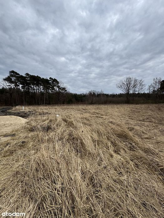 Dwie działki budowlane - bezpośrednio przy lesie - Dębnik - 20 arów