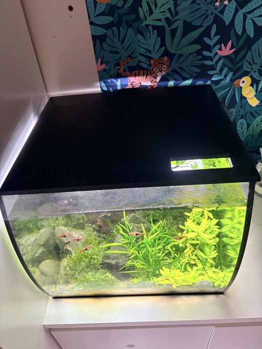 Akwarium Fluval Flex 57 L kompletny zestaw led filr rybki rośliny