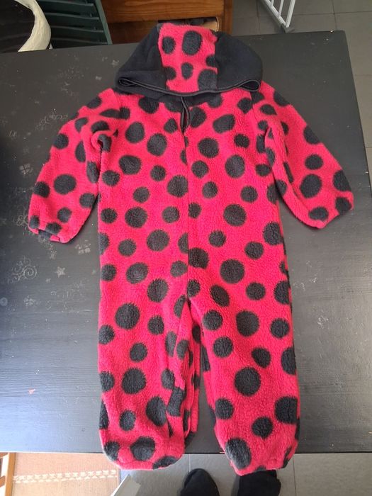 Fatos de carnaval bebe 2 anos
