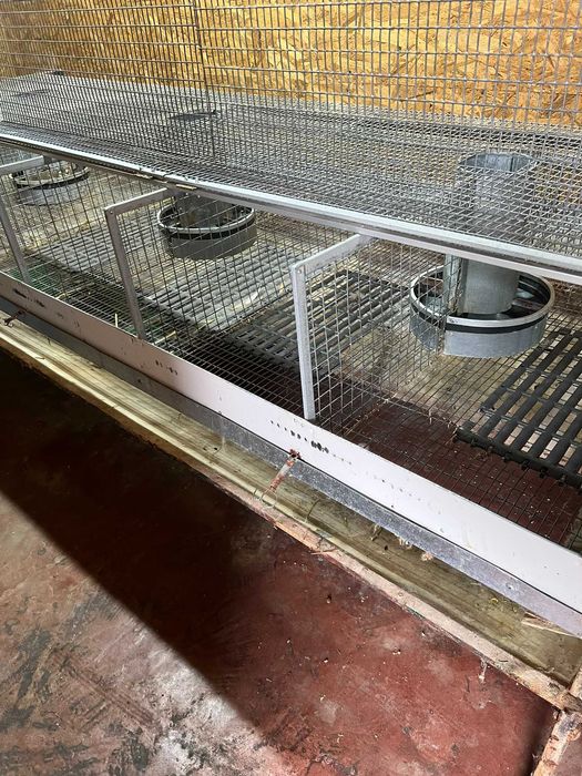 Клітка для відгодівлі кролів