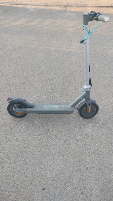 Motus scoty 10 lite 2020