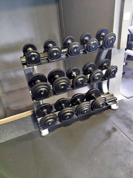 halteres de musculação