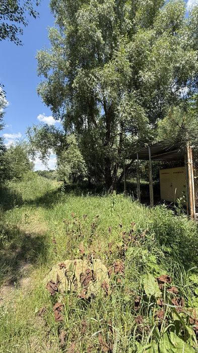 Продаж Ділянки  34,4га +14,34 га, біля  "Dreamland", с. Нові Безрадичі