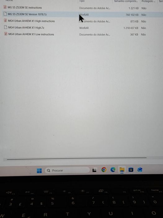 Codificação  Bimmer code/Atualização MG4