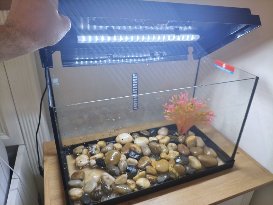 Aquário Aqua LED 32L (ICA) + Acessórios – Como Novo!