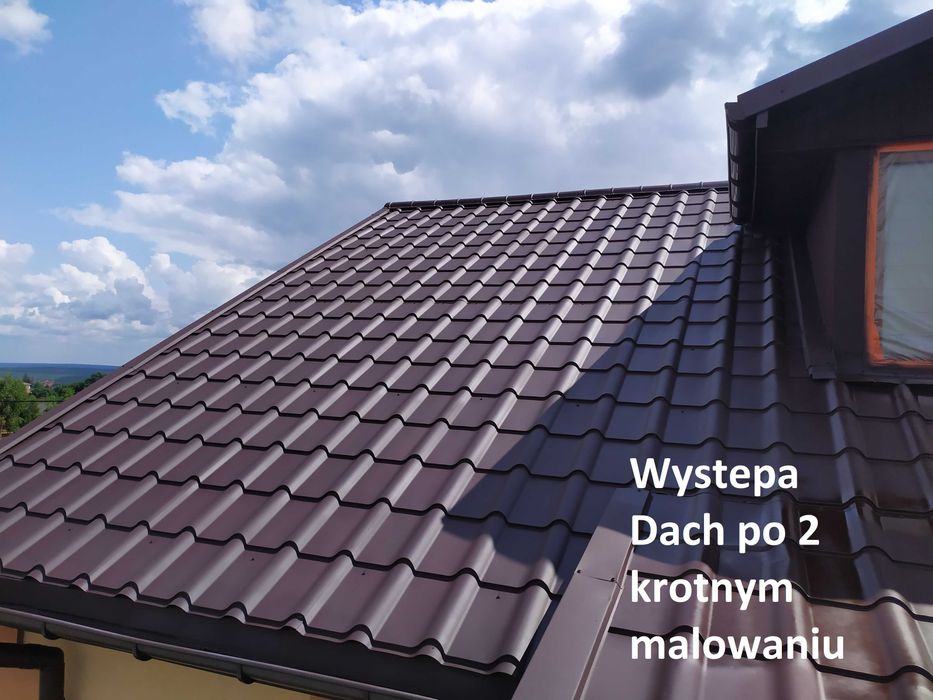 Malowanie, Dachu, Dachów, Mycie, Ogrodzenia, Hale, Rynny, Komin, Płoty