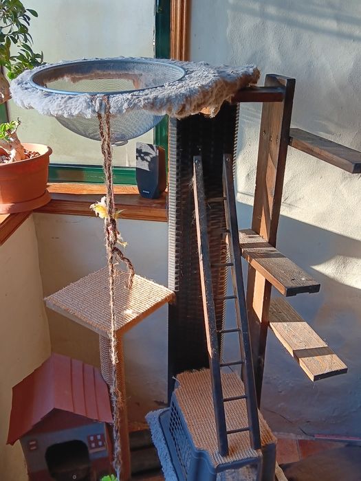 Arvore arranhador para gato