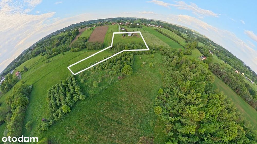 Klimatyczne siedlisko (1,77 ha) Bieńkowice