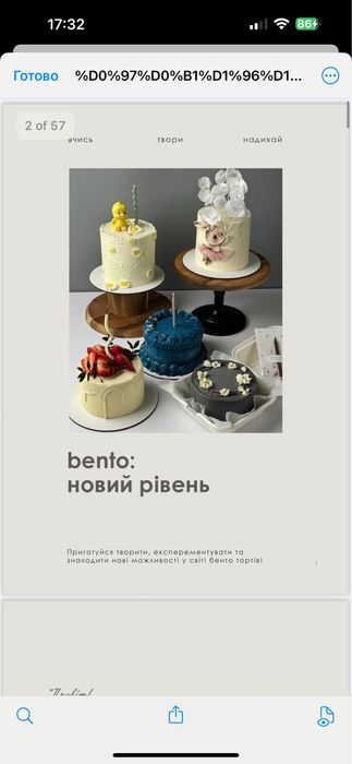 курс по бенто тортам для новачків, відео уроки