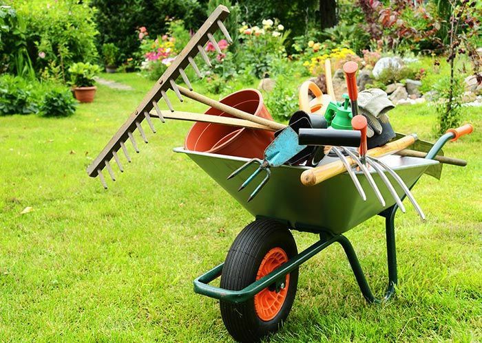 Limpeza de terreno e manutenção de jardins