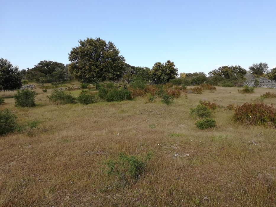 Terreno ideal para refugio de campo, Nisa