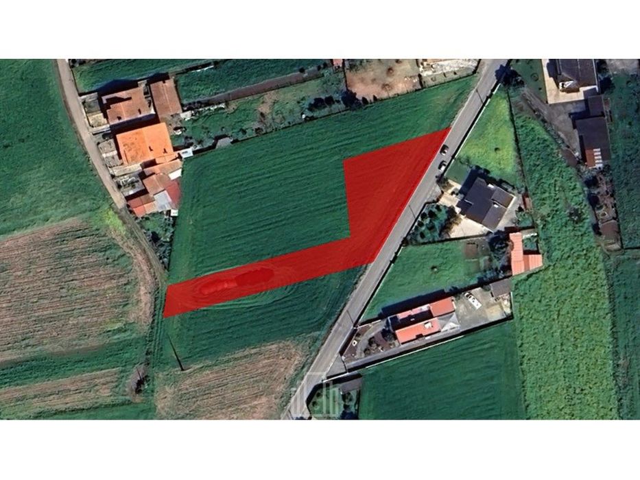 Terreno Rústico - Loureiro, OAZ — Loureiro, Aveiro
