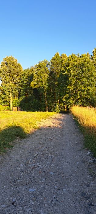 Sprzedam działki budowlane w Wodzisławiu Śląskim dzielnica  Turzyczka, 3km od centrum Wodzisławia  Śląskiego bez szkód górniczych. - Widok 3
