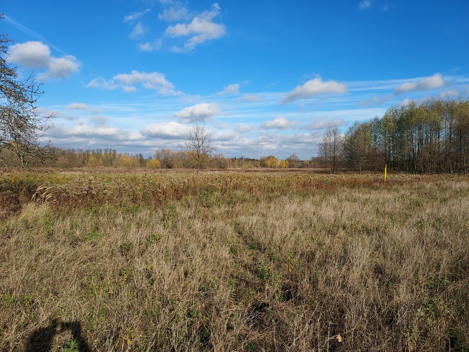 Działka budowlana Hipolitów gm. Chynów bezpośrednio - Widok 5