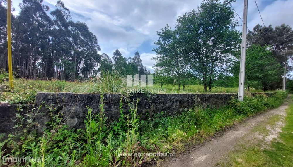 Venda de terreno agrícola com 6500m², Alvarães, Viana do Castelo — Alvarães, Viana do Castelo