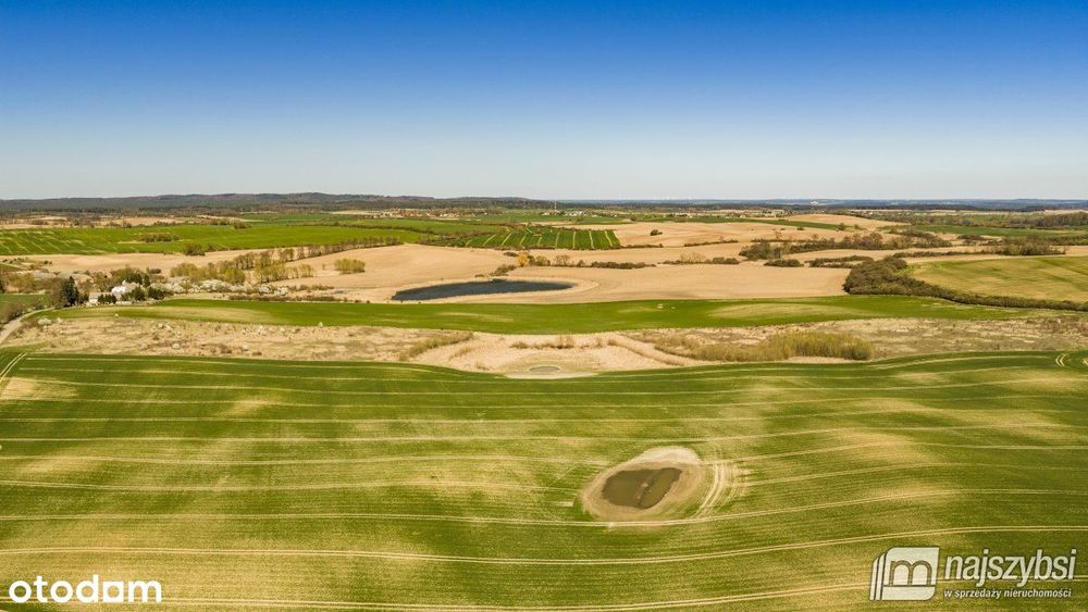 Niesułów-Działka Rolna 6,39 Ha Klasa III