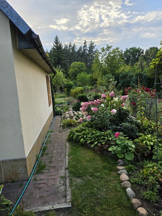Zdjęcie 8