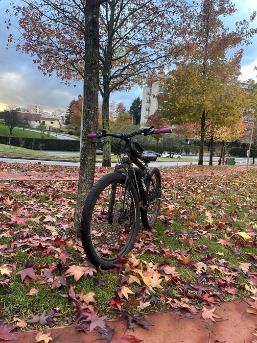 Bicicleta eletrica touroll u1