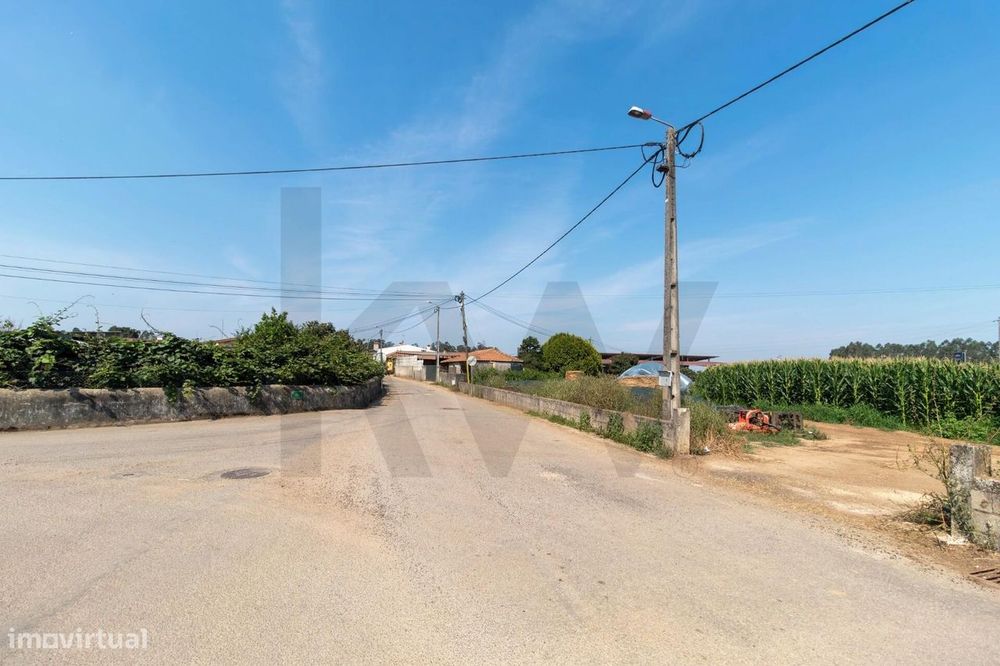 Terreno com Elevado Potencial para Investimento – Avanca, Estarreja