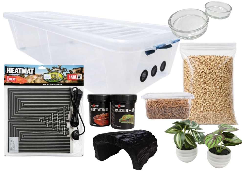 Terrarium dla gekona - Starter Box
