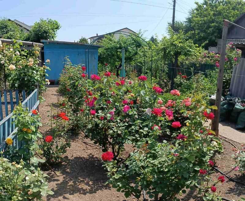 Продается дом в р-не ул.Сикорского