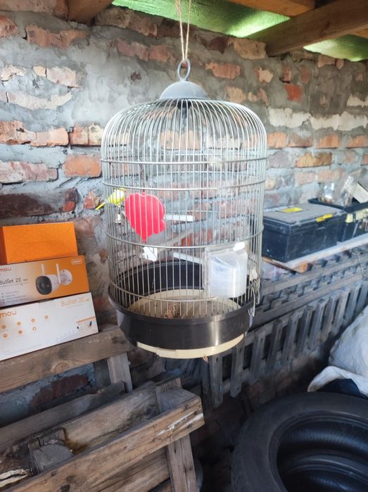Клетка для попугаев