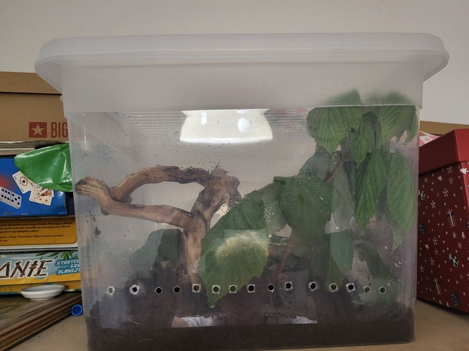 Terrarium plastikowe na zamówinie