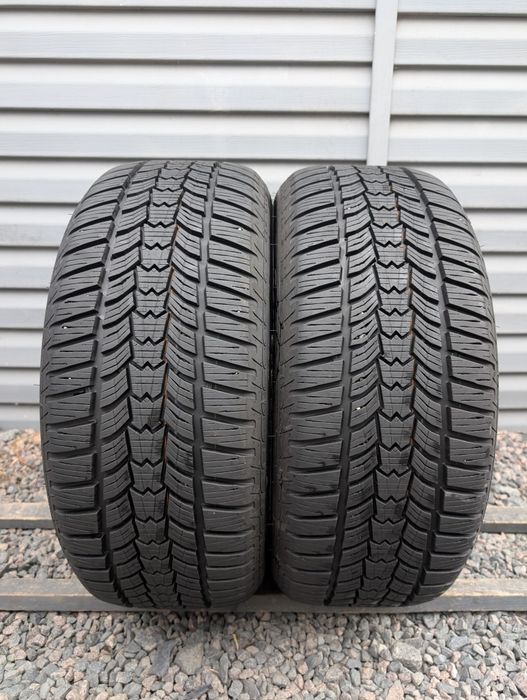 Пара зимових шин Sava 225/55 R16 225*55 16 Eskimo HP2 00167