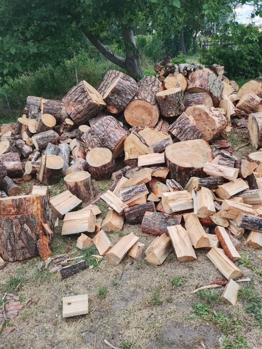 Drzewo sosnowe cięte