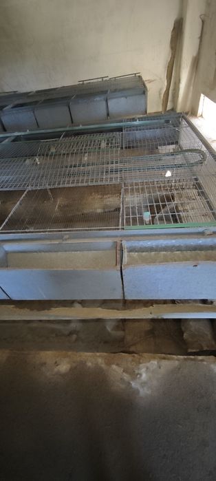 Jaulas para criação de coelhos usadas preço unitário