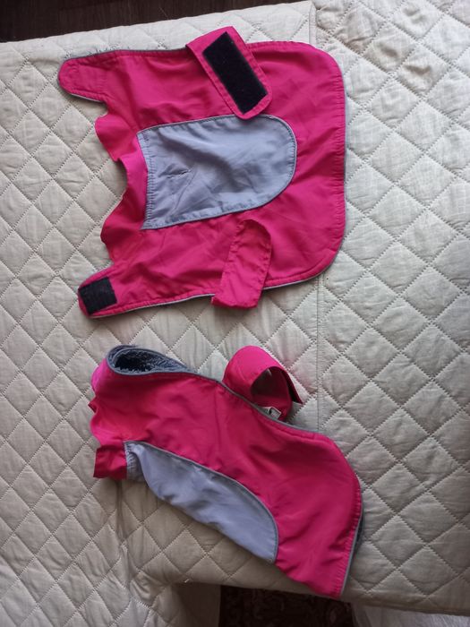 Одежда для собак разных размеров