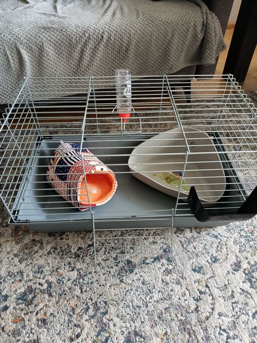 Klatka dla świnki morskiej,chomika