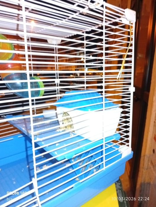 Gaiola grande para hamster com acessórios completos