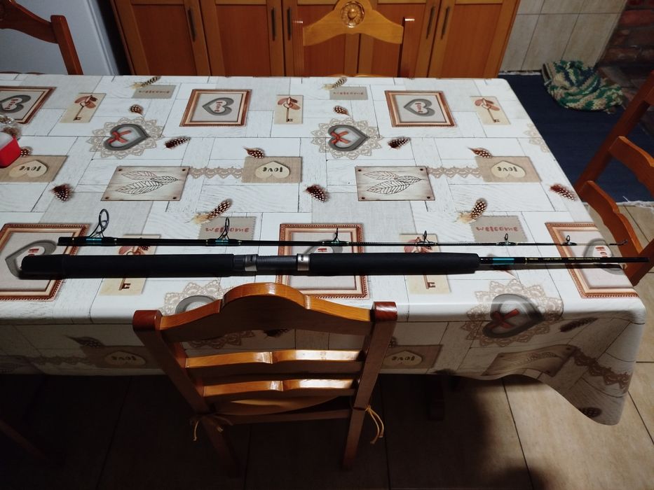 Cana de pesca ao barco